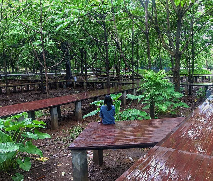 Piknik Murah di Hutan Kota Unhas - Brisik