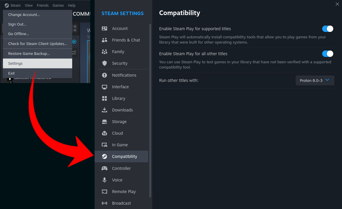 A screenshot showing the step-by-step process to enable Steam Play (Proton)